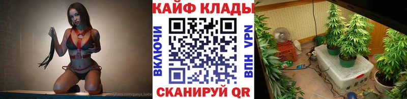 ГАШ Кингисепп