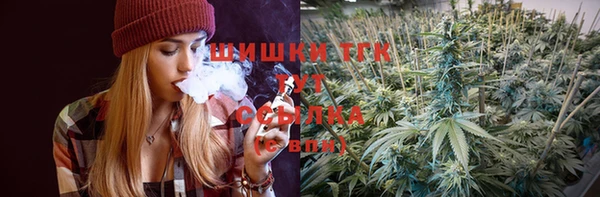спайс Гусев