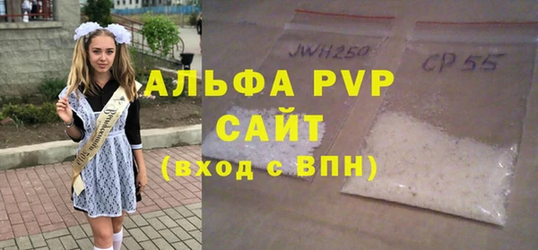 спайс Гусев