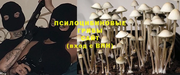 спайс Гусев