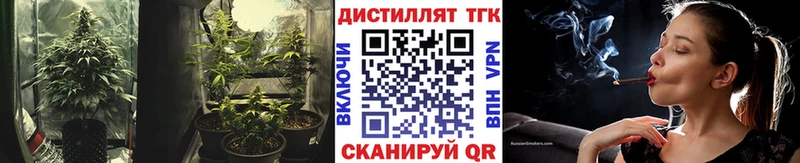 Дистиллят ТГК THC oil  Купить закладки  Кингисепп 